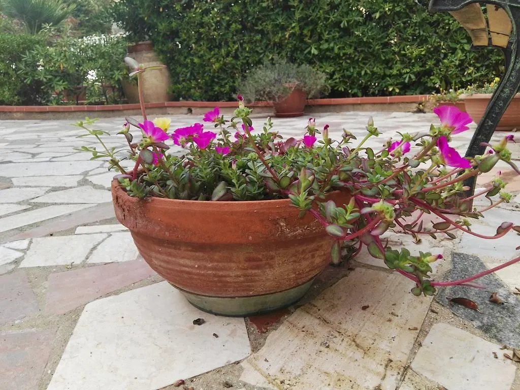 Holiday home Villalba Castellammare del Golfo